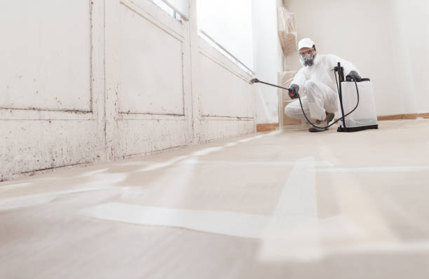24/7 Emergency Mold Removal experts in Central City, IL